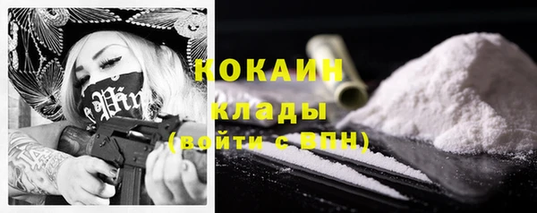 винт Лагань