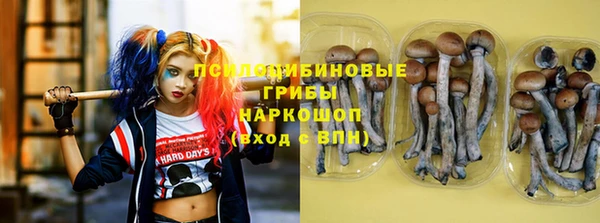 крисы Абинск