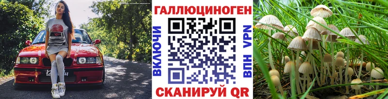 Галлюциногенные грибы Cubensis ОМГ ОМГ онион Карталы